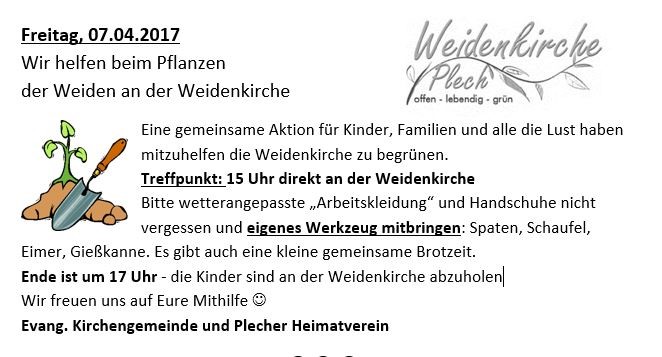 2017 Weidenkirche pflanzen