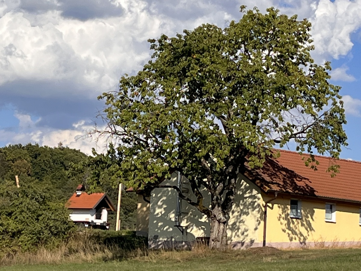 Ansicht Vereinsheim mit Backofen im Hintergrund1200px